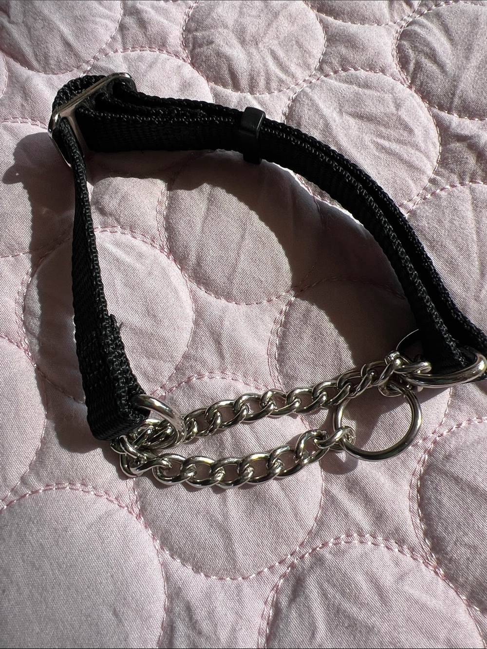 Adjustable Black Nylon Half-Check Dog Collar with Silver Chain
